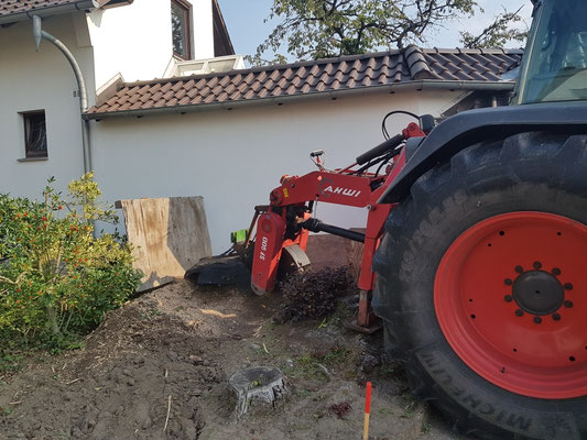 Wurzelfräse am Traktor arbeitet dicht an einem Wohnhaus, Baumstumpf wird direkt vor der Fassade entfernt.